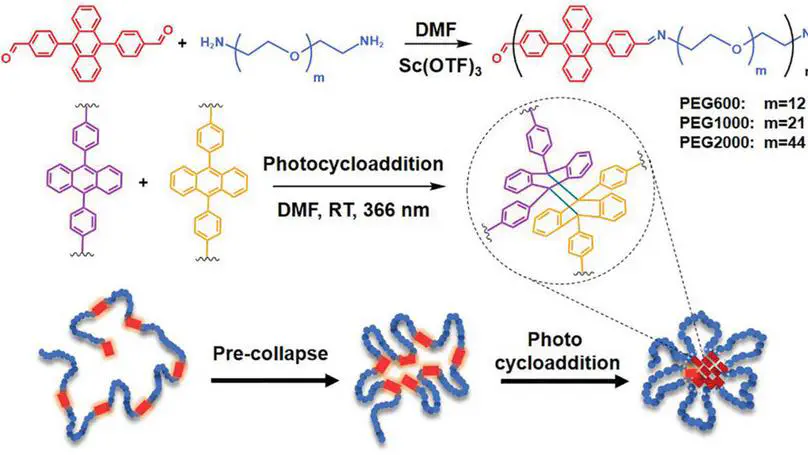 Ultrasmall Single‐Chain Nanoparticles Derived from Amphiphilic Alternating Copolymers