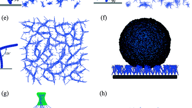Understanding the wettability of a hairy surface:effect of hair rigidity and topology
