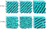 Understanding the wettability of a hairy surface:effect of hair rigidity and topology