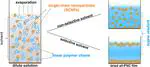 Unexpected Solvent Effect Leading to Interface Segregation of  Single-Chain Nanoparticles in All-Polymer Nanocomposite Films upon  Solvent Evaporation