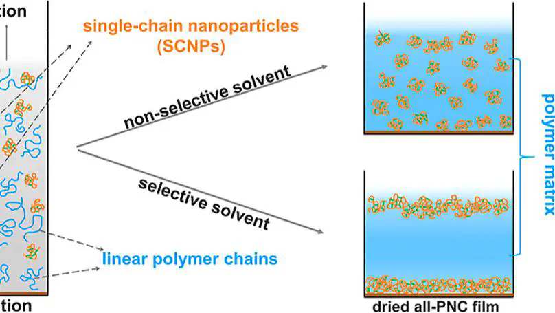 Unexpected Solvent Effect Leading to Interface Segregation of  Single-Chain Nanoparticles in All-Polymer Nanocomposite Films upon  Solvent Evaporation