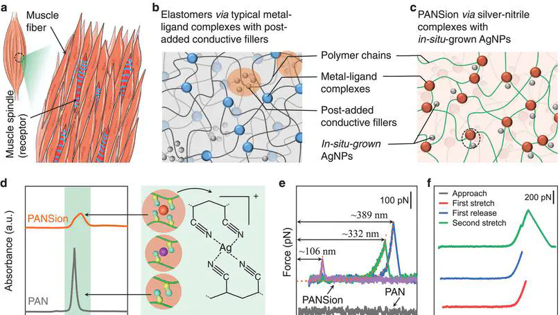 In Situ Grown Silver–Polymer Framework with Coordination Complexes for Functional Artificial Tissues