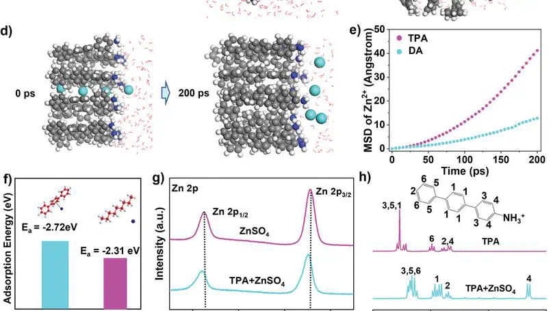 Synergistic Cation‐π Interactions and PEDOT‐Based Protective Double‐Layer for High Performance Zinc Anode