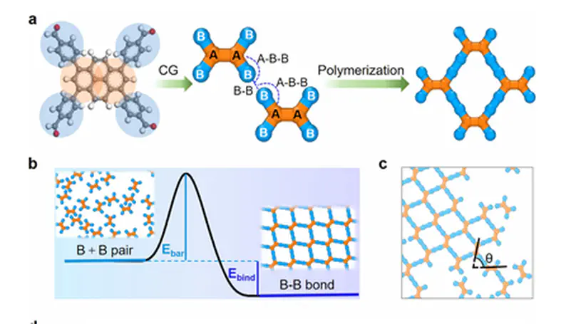 Insight into the Regulatory Role of Defect Evolution on the Growth of Single-Crystalline Covalent Organic Frameworks